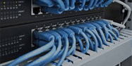 Domain and Hosting