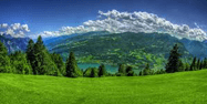 Environment