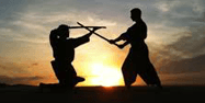 Martial Arts