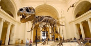 Museum