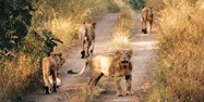 National Park