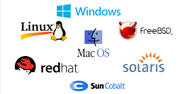 Operating System