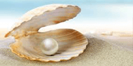 Pearls