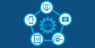 Software Company