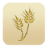 krishi rajasthan