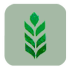 agriharyana