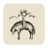 BrooksBrothers