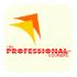 Professional Courier
