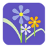 From You Flowers