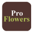Pro Flowers