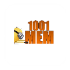 1001