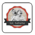 Lolhe