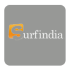 Surfindia