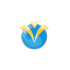 Curriculum