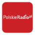 Prostopleer