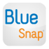 BlueSnap