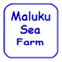 Maluku