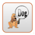 Dog Breed 