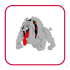 Dogs Doain  