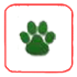 Dogster