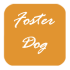 FosterDog