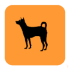 In Dog
