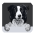 Mans Friend