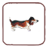 Woof Report