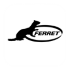 Ferret