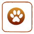 HealthyPets