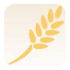 TheHungerSite