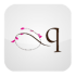 QOQ