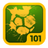 101