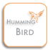 Hummingbirdip