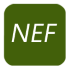 NEF
